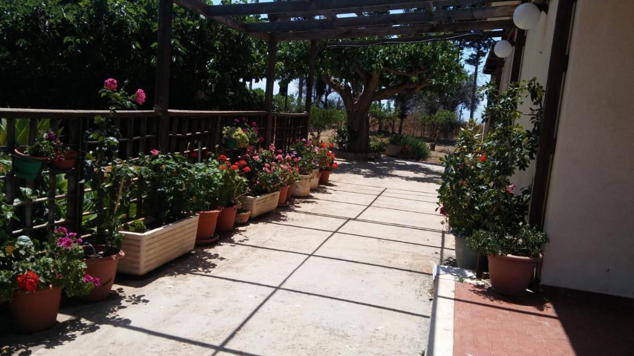 Il Gazebo Bed & Breakfast Сколити Екстериор снимка