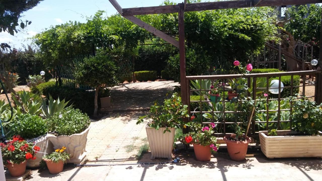 Il Gazebo Bed & Breakfast Сколити Екстериор снимка