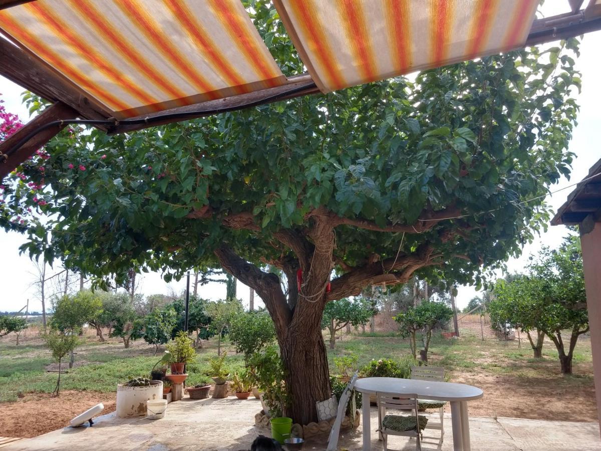 Il Gazebo Bed & Breakfast Сколити Екстериор снимка